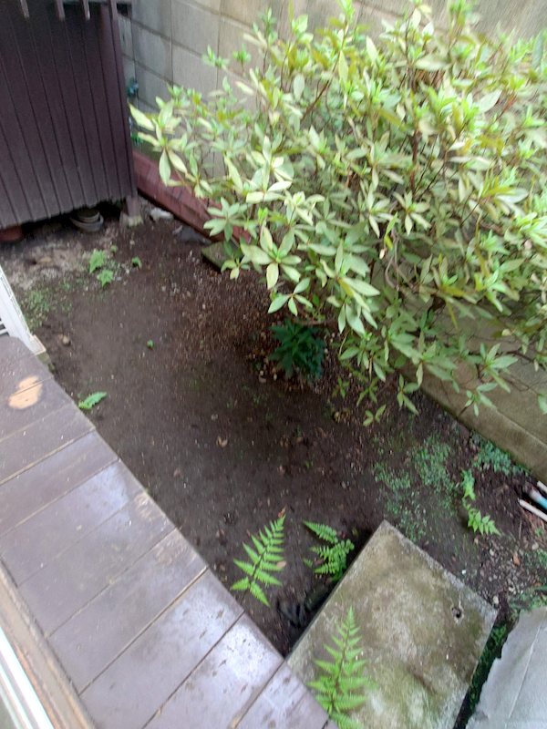 さつき荘 その他6