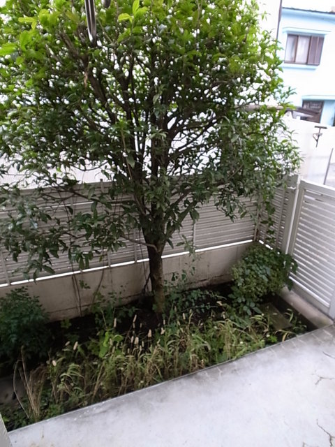 ＭＤＨ多摩川 ベランダ