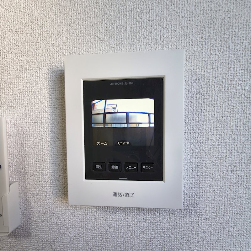 セントーレア その他2