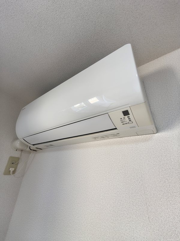 セントーレア その他4