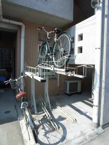 セントーレア その他6