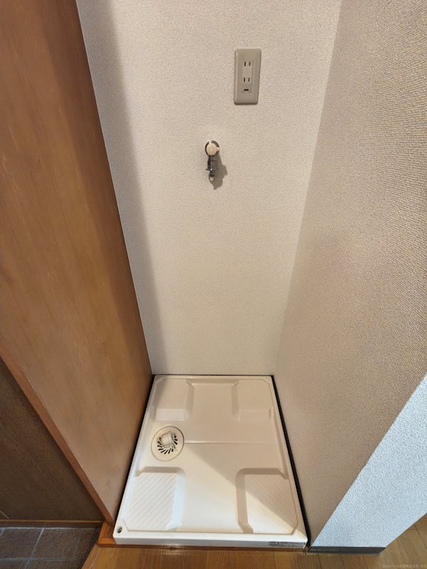 セントーレア その他10