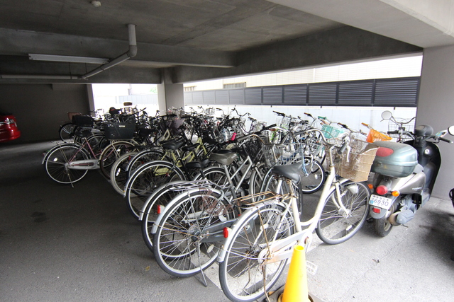 フォレストグリーン その他13