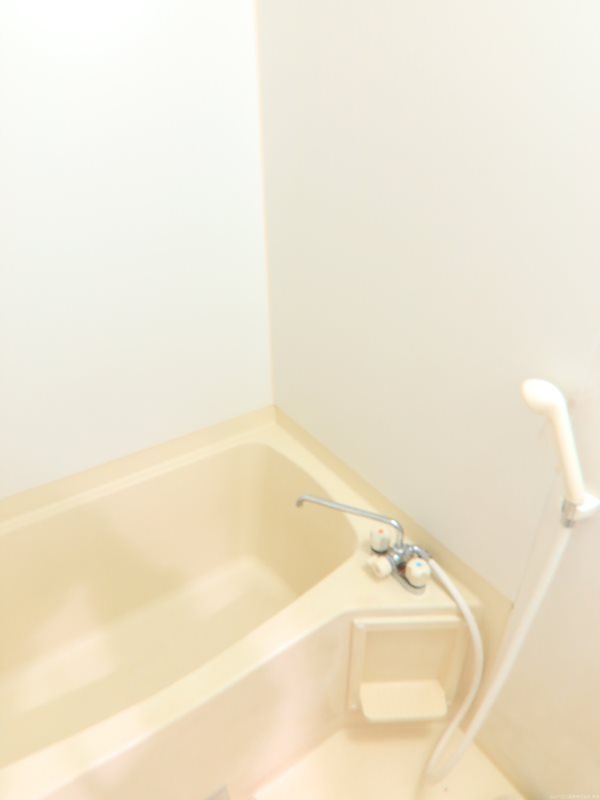 ヴィンテージ高津 風呂画像