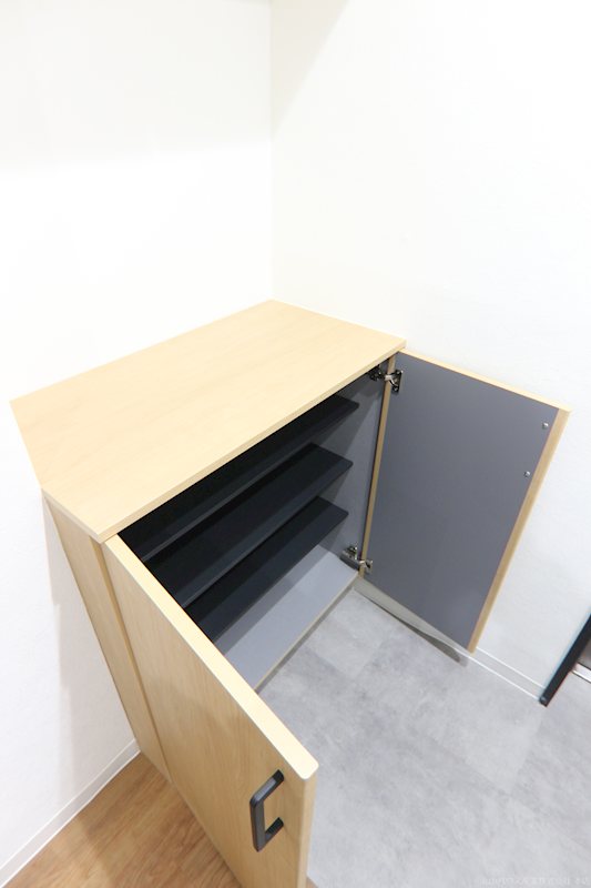 Ｐｉａ Ｋ－１ その他13