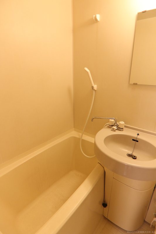 大澤フルーツビル 風呂画像