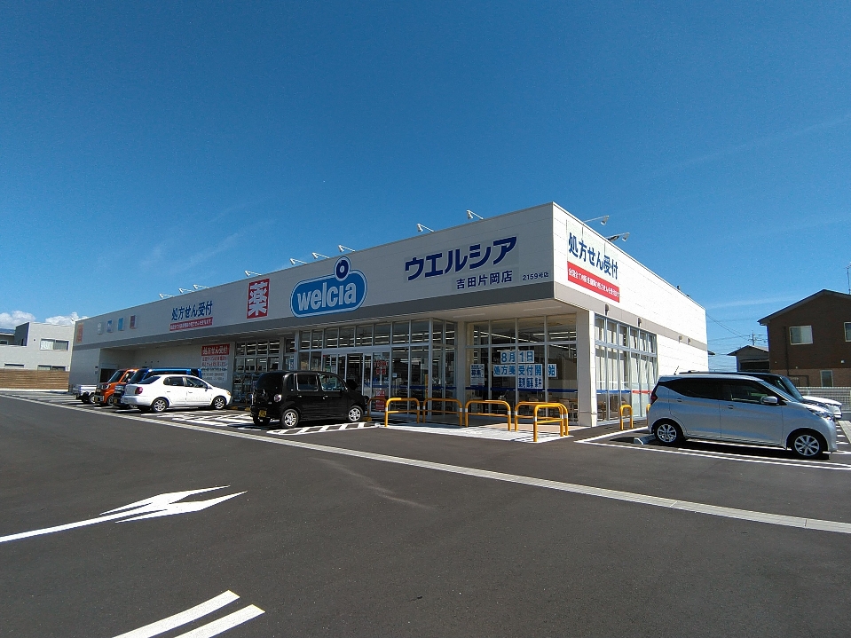アネシス ドラッグストア