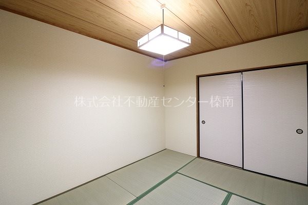 Surplusアムール その他