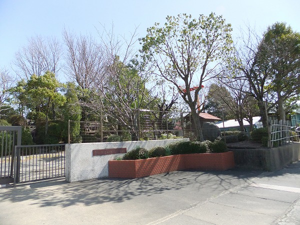 Surplusアムール 小学校