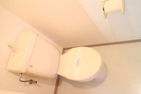 稲田大発マンション トイレ