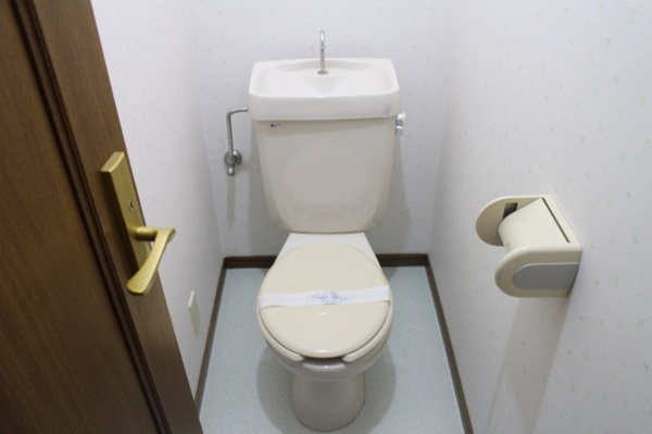 ハイツ大発 トイレ