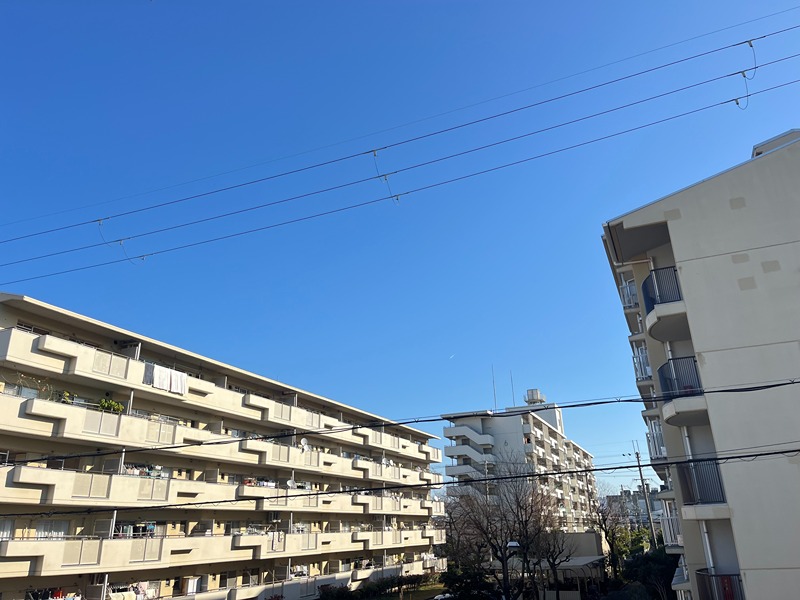 中田ハイツ 眺望