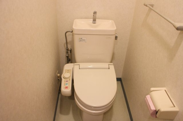 ヒットメゾン大智 トイレ