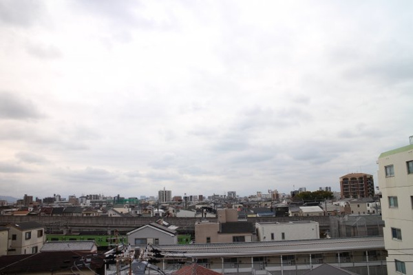 ホワイトシャンボール 眺望