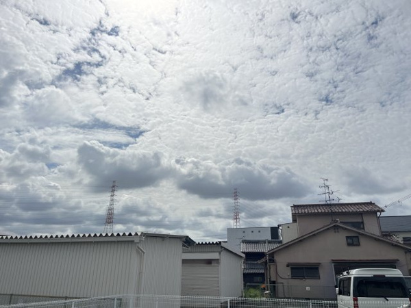 橋田ハイツ 眺望