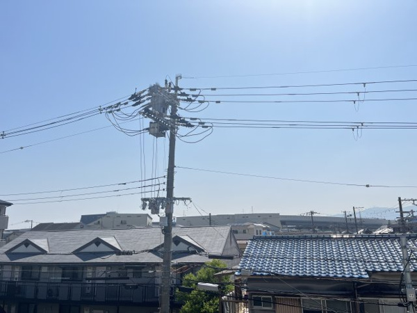 ハナミズキ 眺望