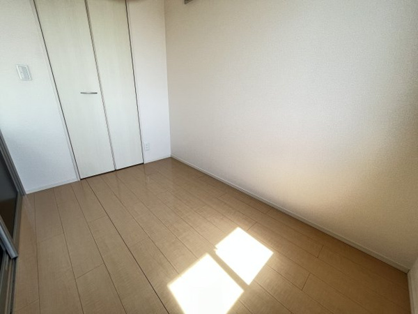 ハナミズキ その他