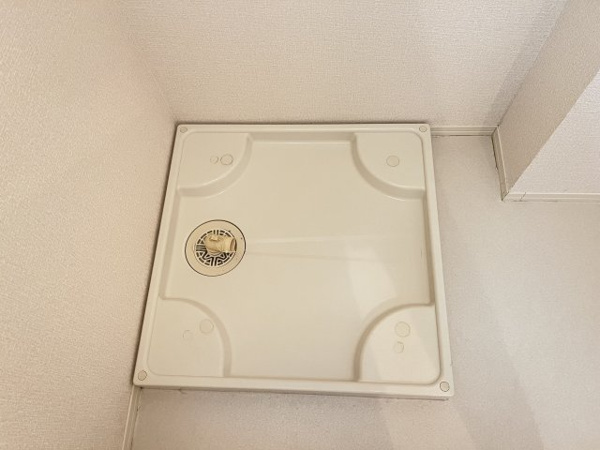 ハナミズキ その他