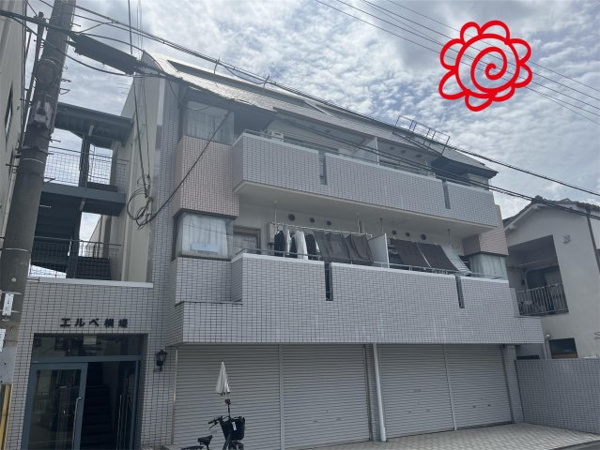 エルベ横堤 外観