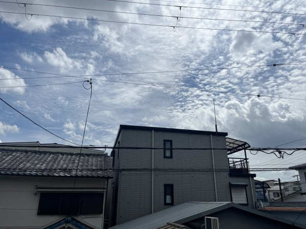 エルベ横堤 眺望