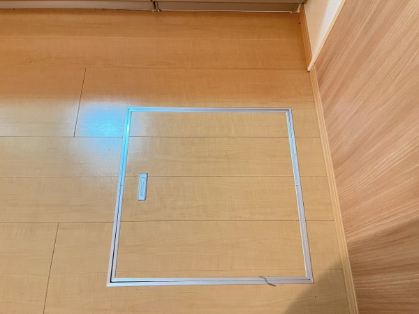 ネバーランド その他