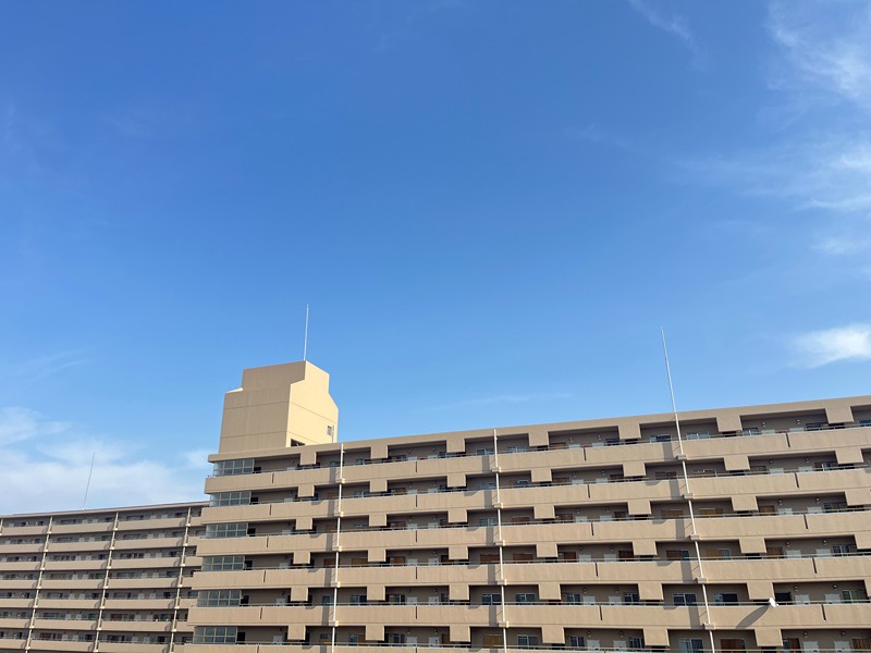 Alivis放出 眺望