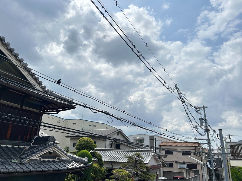 セジュールトキⅡ 眺望