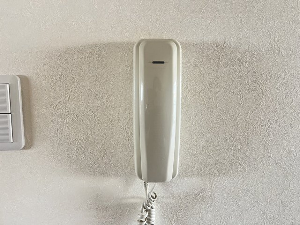 グリーンノース その他