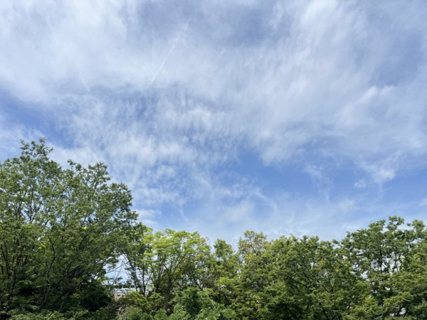 ラ・アベニュー中野 眺望