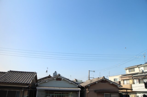 グラジオラス 眺望