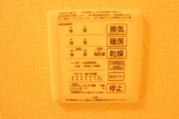グラジオラス その他