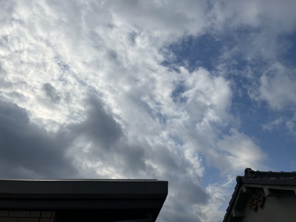 ハイムリーフ 眺望
