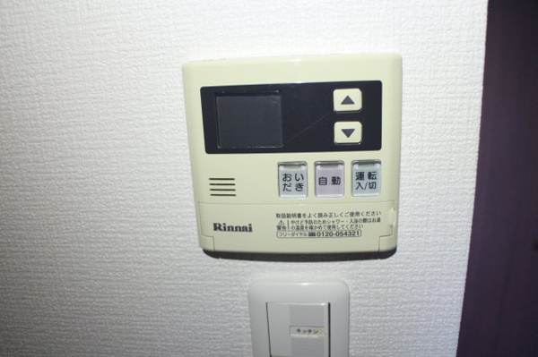 グレイスパルコート その他