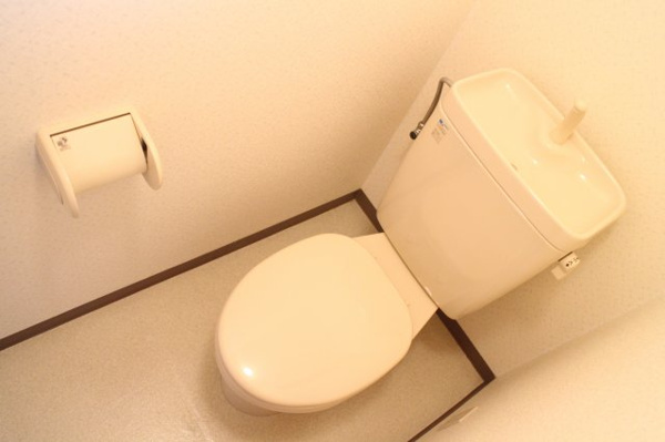 稲田大発マンション トイレ