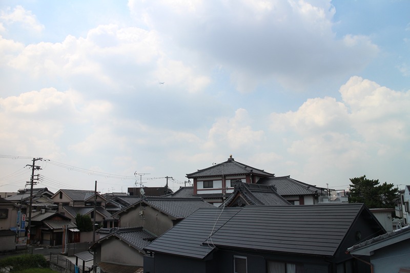ウィズパークノーサイド 眺望