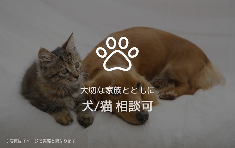 シャーメゾンエクロール その他