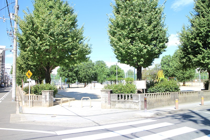 ホワイトシャンボール 公園