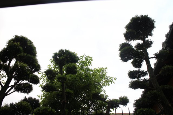 クライス横堤 眺望