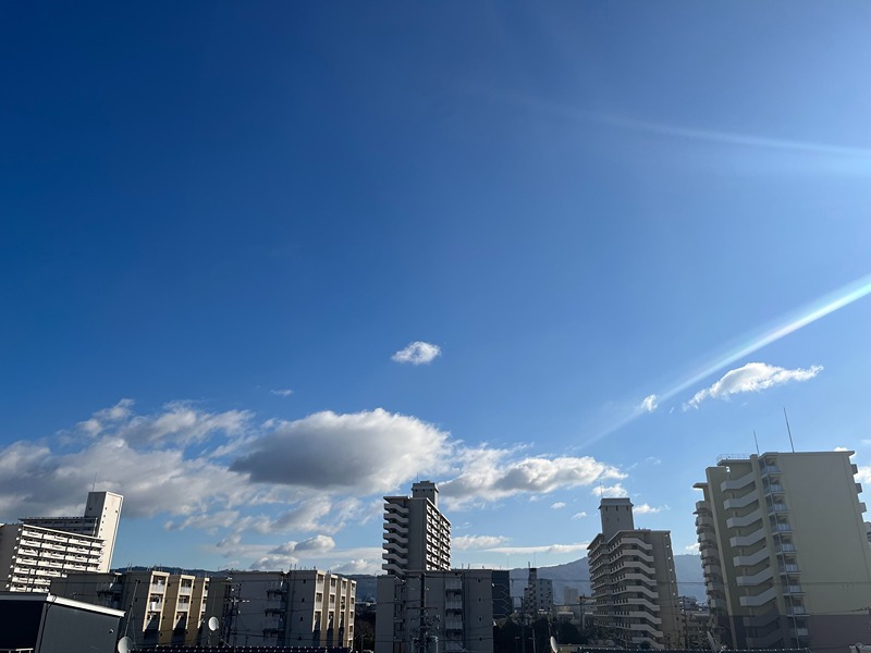 フローラ 眺望
