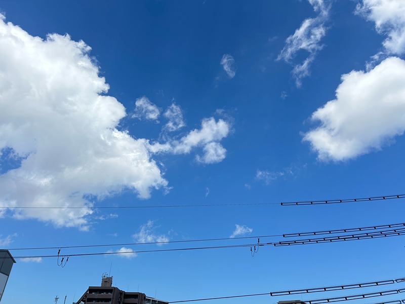 プレリス鶴見緑地グランガーデリア 眺望