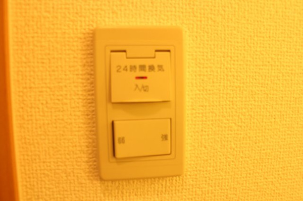 カサデコモド その他