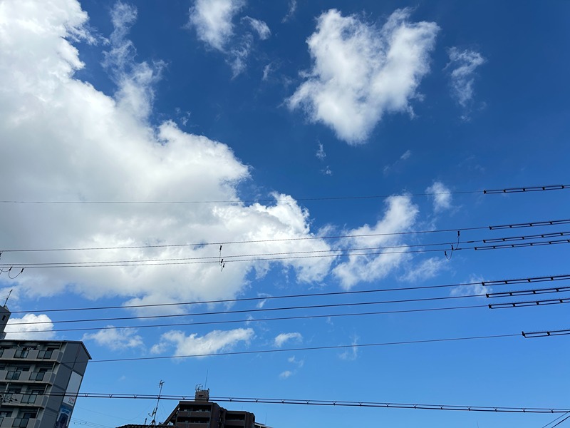 プレリス鶴見緑地グランガーデリア 眺望