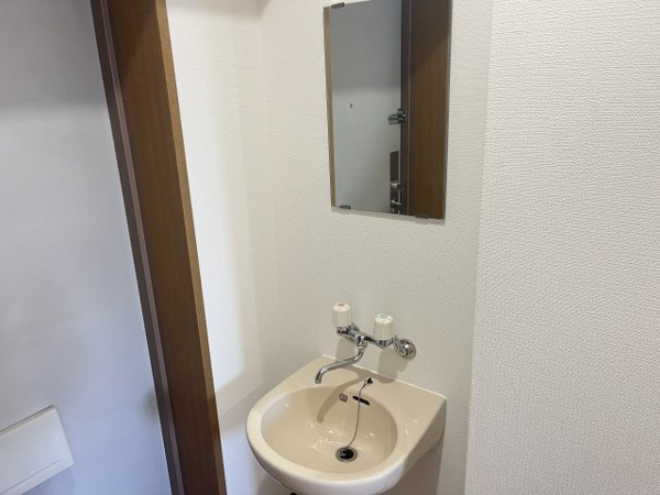 キャッスルプラザ壱番館 洗面所