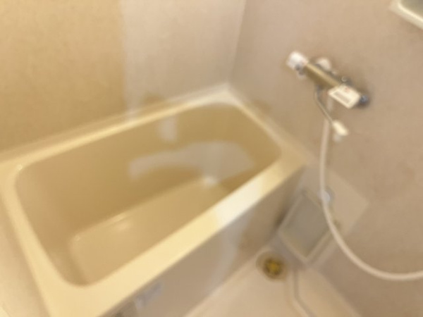 キャッスルプラザ壱番館 風呂画像