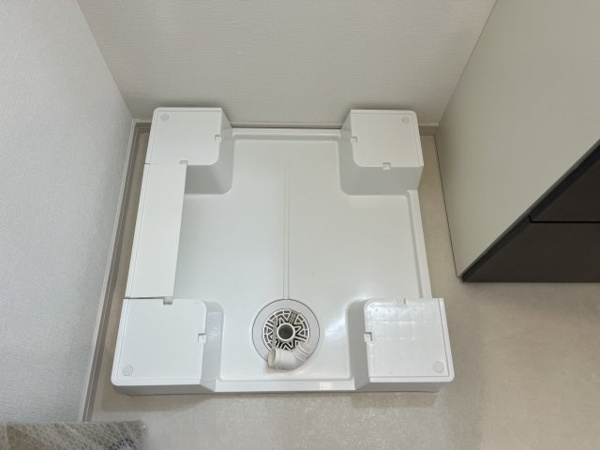 サラロタスコフレ その他