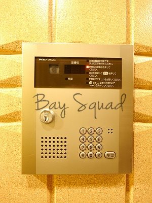 プルムルージュ   セキュリティ