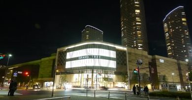 エクセル新川崎  ショッピング施設