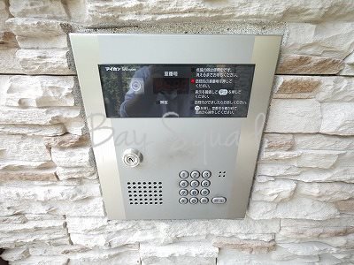 リトルフォレスト セキュリティ