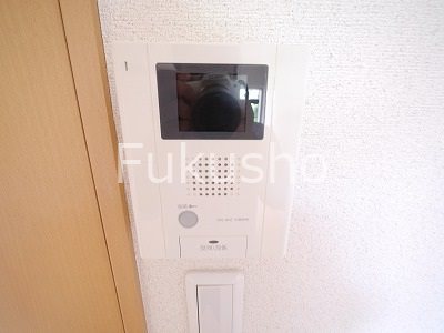 リトルフォレスト セキュリティ