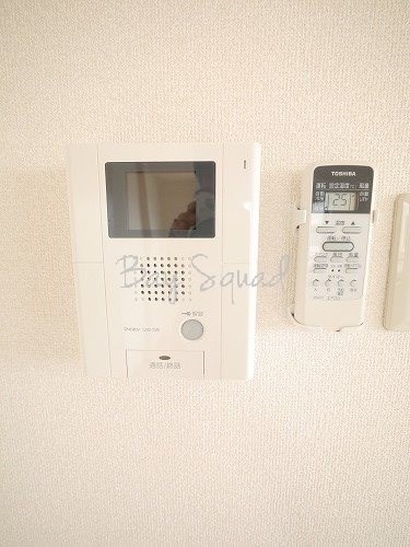 ヴィラボルゲーゼ  セキュリティ